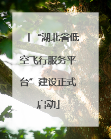 “湖北省低空飞行服务平台”建设正式启动