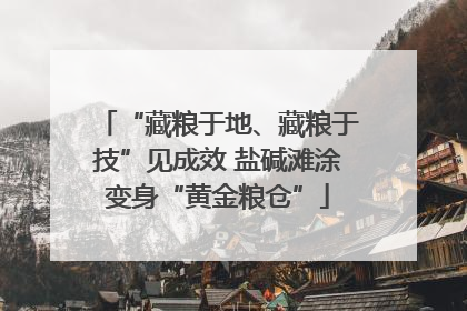 “藏粮于地、藏粮于技”见成效 盐碱滩涂变身“黄金粮仓”