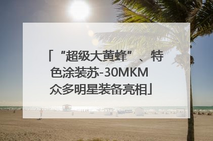 “超级大黄蜂”、特色涂装苏-30MKM 众多明星装备亮相
