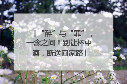 “醉”与“罪”，一念之间！别让杯中酒，断送回家路