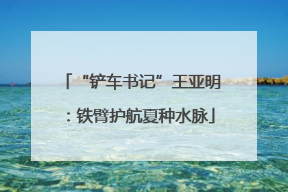“铲车书记”王亚明：铁臂护航夏种水脉