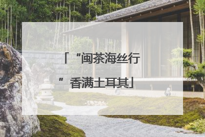 “闽茶海丝行”香满土耳其