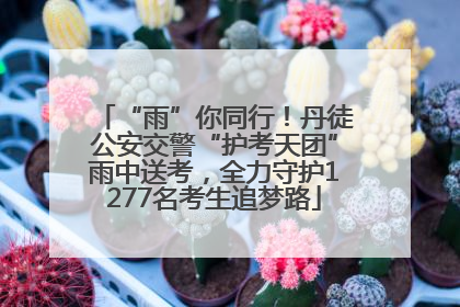 “雨”你同行！丹徒公安交警“护考天团”雨中送考，全力守护1277名考生追梦路