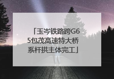 玉岑铁路跨G65包茂高速特大桥系杆拱主体完工