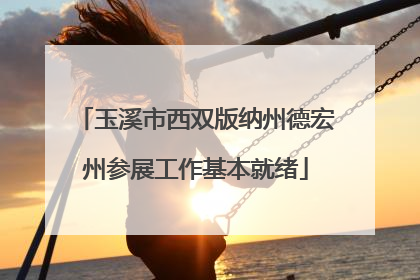 玉溪市西双版纳州德宏州参展工作基本就绪