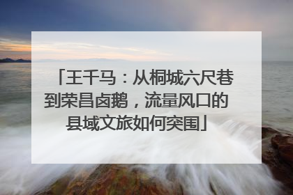 王千马：从桐城六尺巷到荣昌卤鹅，流量风口的县域文旅如何突围