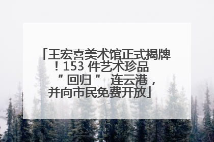 王宏喜美术馆正式揭牌！153 件艺术珍品 “ 回归 ” 连云港，并向市民免费开放
