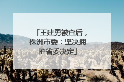 王建勇被查后，株洲市委：坚决拥护省委决定