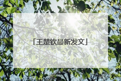 王楚钦最新发文