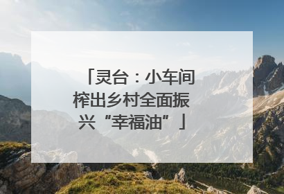灵台：小车间榨出乡村全面振兴“幸福油”