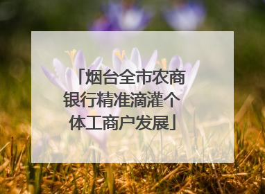 烟台全市农商银行精准滴灌个体工商户发展