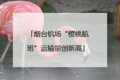 烟台机场“樱桃航班”运输量创新高