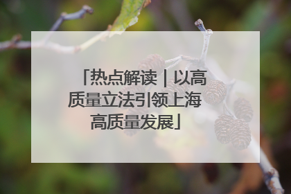 热点解读｜以高质量立法引领上海高质量发展