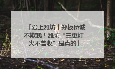 爱上潍坊丨郑板桥诚不欺我！潍坊“三更灯火不曾收”是真的