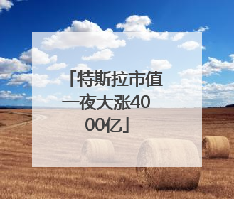 特斯拉市值一夜大涨4000亿