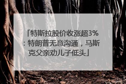 特斯拉股价收涨超3%：特朗普无意沟通，马斯克父亲劝儿子低头