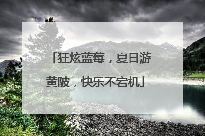 狂炫蓝莓，夏日游黄陂，快乐不宕机