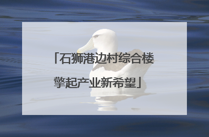 石狮港边村综合楼擎起产业新希望