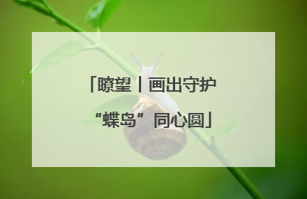 瞭望丨画出守护“蝶岛”同心圆