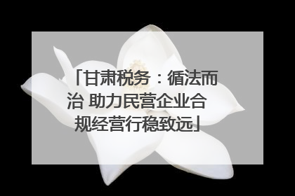 甘肃税务：循法而治 助力民营企业合规经营行稳致远
