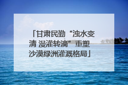 甘肃民勤“浊水变清 漫灌转滴”重塑沙漠绿洲灌溉格局