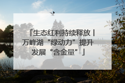 生态红利持续释放丨万峰湖“绿动力”提升发展“含金量”
