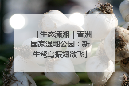 生态潇湘｜萱洲国家湿地公园：新生鹭鸟振翅欲飞