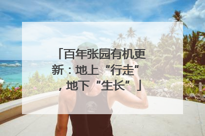 百年张园有机更新：地上“行走”，地下“生长”