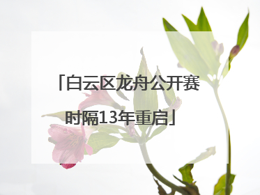白云区龙舟公开赛时隔13年重启