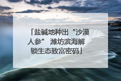 盐碱地种出“沙漠人参” 潍坊滨海解锁生态致富密码