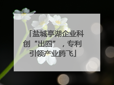 盐城亭湖企业科创“出圈”，专利引领产业腾飞