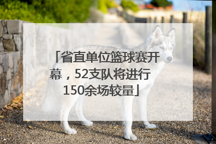 省直单位篮球赛开幕，52支队将进行150余场较量