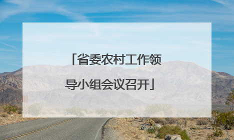 省委农村工作领导小组会议召开