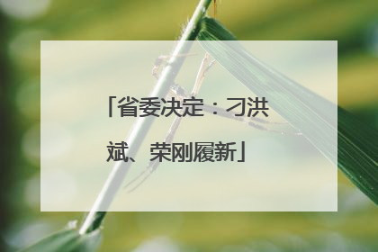省委决定：刁洪斌、荣刚履新