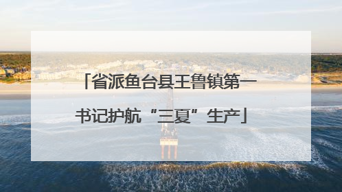 省派鱼台县王鲁镇第一书记护航“三夏”生产