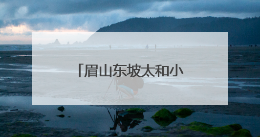 眉山东坡太和小学让安全知识在学生心里深深扎根