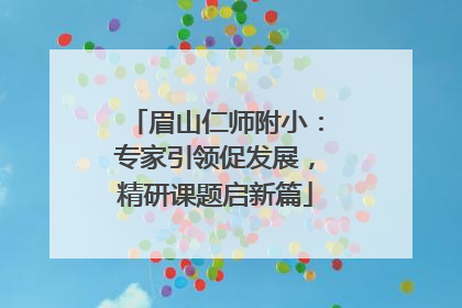 眉山仁师附小：专家引领促发展，精研课题启新篇
