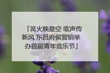 篝火映星空 歌声传新风 东昌府侯营镇举办首届青年音乐节