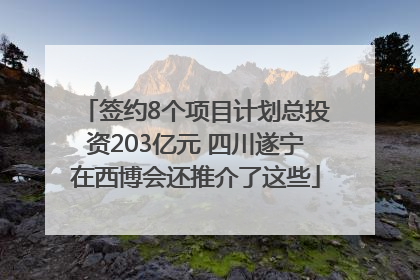 签约8个项目计划总投资203亿元 四川遂宁在西博会还推介了这些