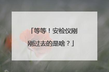 等等！安检仪刚刚过去的是啥？