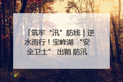 筑牢“汛”防线｜逆水而行！宝峰湖 “安全卫士” 出鞘 防汛应急再添硬核力量