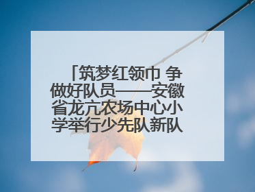 筑梦红领巾 争做好队员——安徽省龙亢农场中心小学举行少先队新队员入队仪式