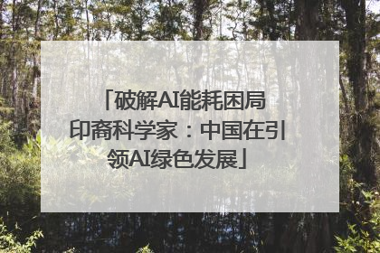 破解AI能耗困局 印裔科学家：中国在引领AI绿色发展