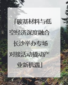 碳基材料与低空经济深度融合 长沙举办专场对接活动撬动产业新机遇