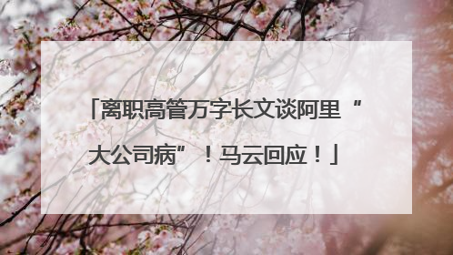 离职高管万字长文谈阿里“大公司病”！马云回应！
