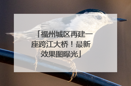 福州城区再建一座跨江大桥！最新效果图曝光