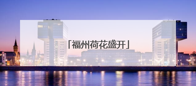 福州荷花盛开