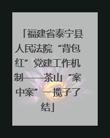 福建省泰宁县人民法院“背包红”党建工作机制——茶山“案中案”一揽子了结