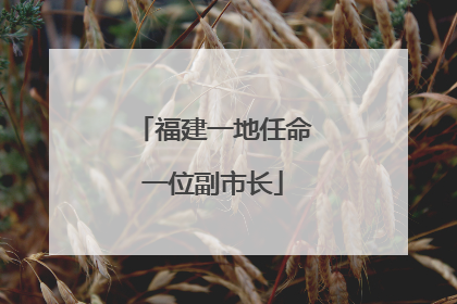 福建一地任命一位副市长