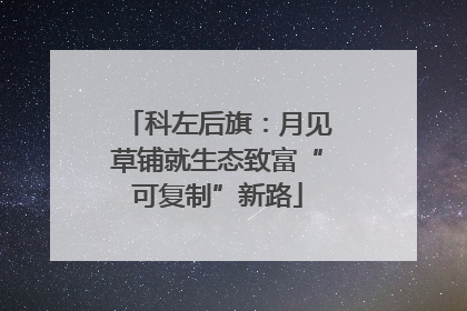 科左后旗：月见草铺就生态致富“可复制”新路